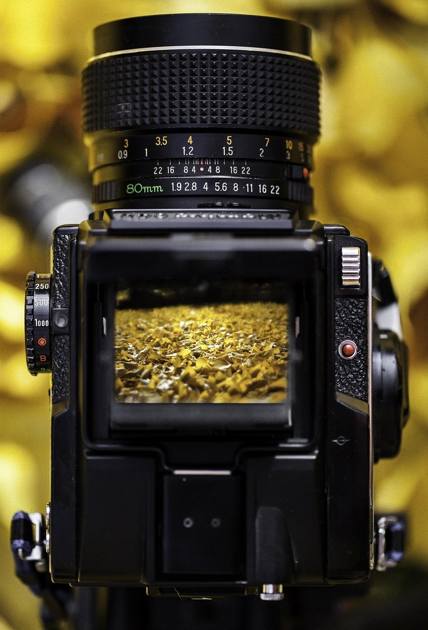 category-03 mamiya, medium format, season, branch, leaf, industry, equipment, nature, environment, technology, business, finance, computer, lens, shutter, obsolete, retro, antique, old, aperture, electronics, outdoors, viewfinder, film, camera, photo, photography, photographer, picture, fun, exposure, vintage, black, nostalgia, classic, old-fashioned, optical, 35mm, style, analog, focus, photographic, white, classical